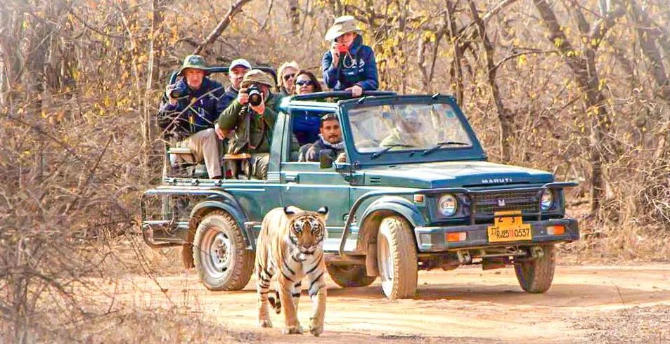 A Comprehensive Guide to Bandhavgarh Safari Ticket Booking