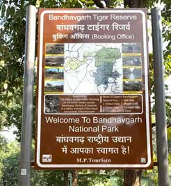 bandhavgarh safari zones