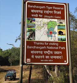 bandhavgarh safari zones